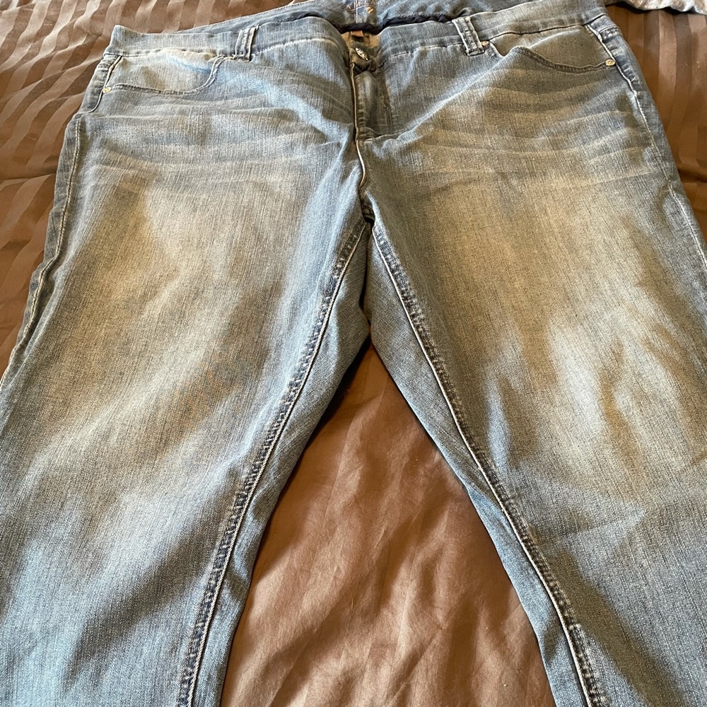 Melissa McCarthy Ankle Jeans